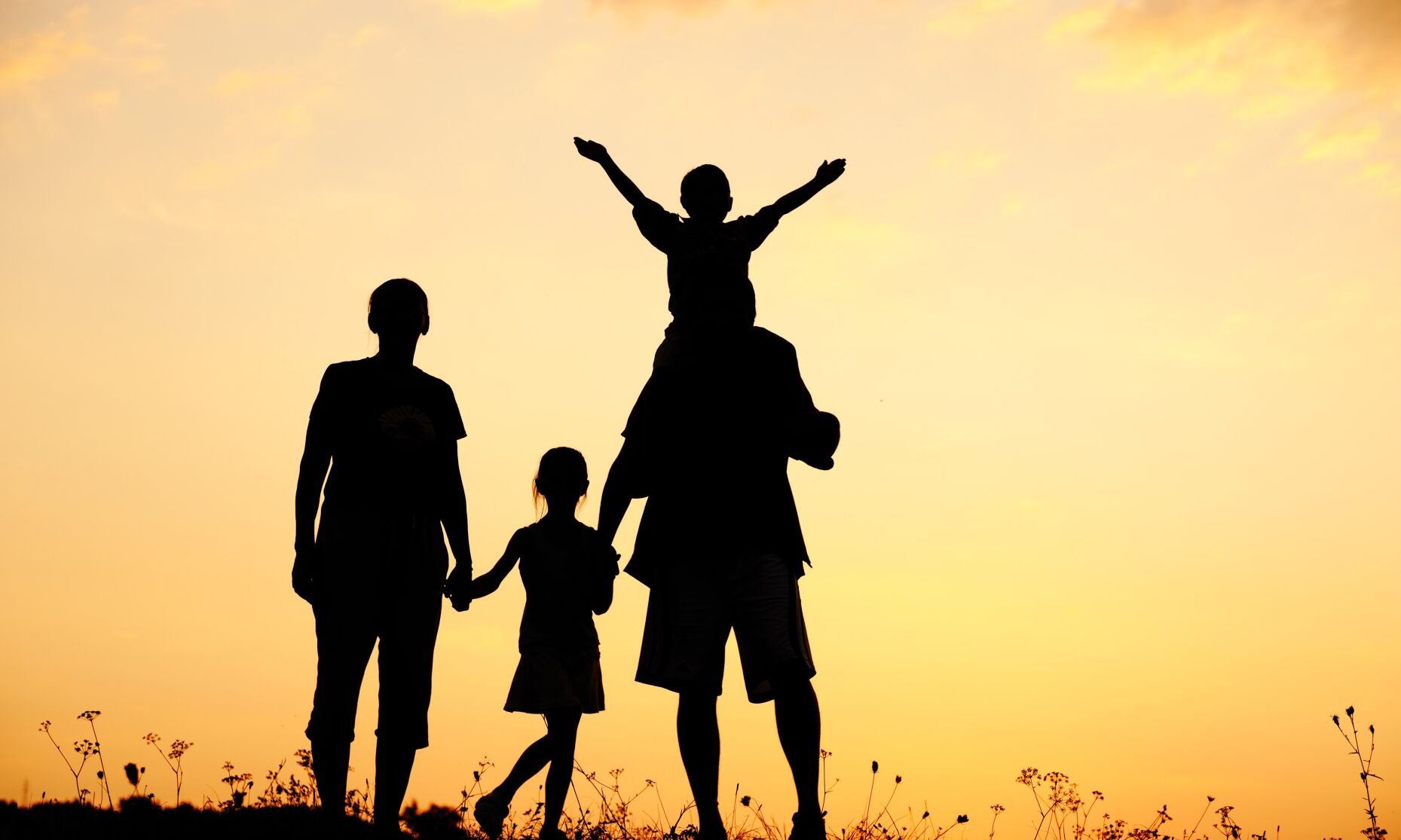 Family, outdoors, silhouette